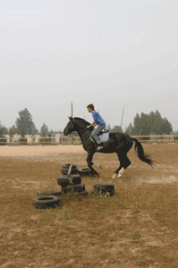 Данила на коне - уроки конкура