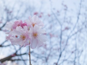 «Мама Недели»: наши любимые авторы